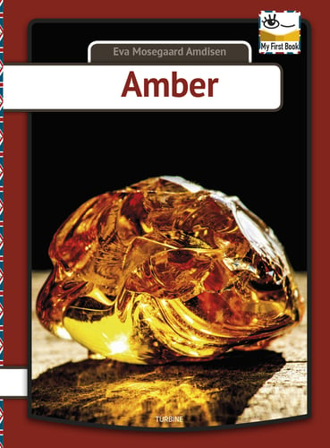 Amber - picture