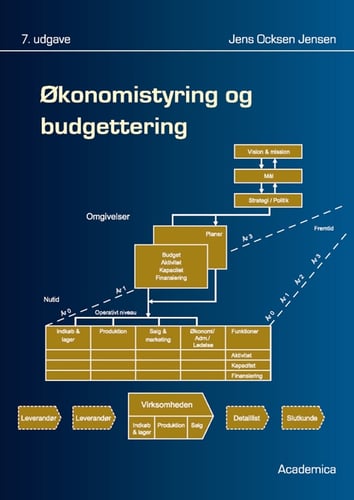 Økonomistyring og budgettering - picture