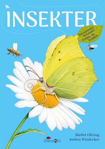 Insekter - picture