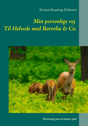Min personlige vej Til Helvede med Borrelia & Co.
