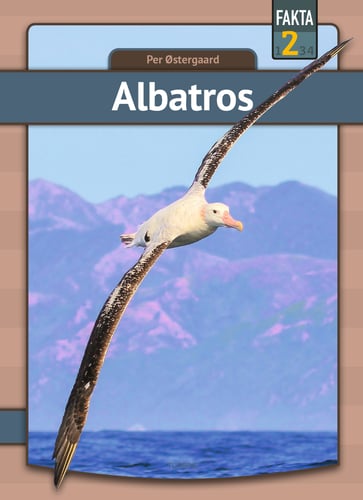 Albatros_0