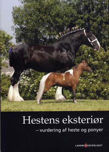 Hestens eksteriør_0