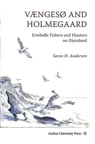 Vængesø and Holmegaard - picture