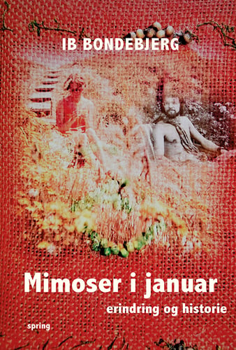 Mimoser i januar - picture