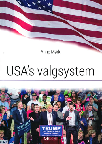 USA's valgsystem - picture