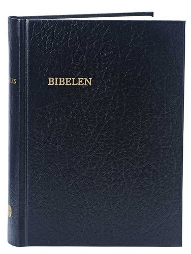 Bibelen - lille format, kirkebibelen - picture