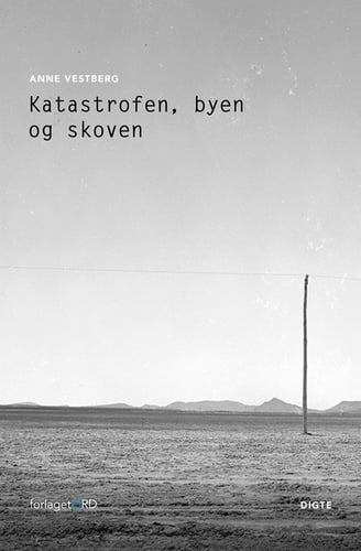 Katastrofen, byen og skoven - picture