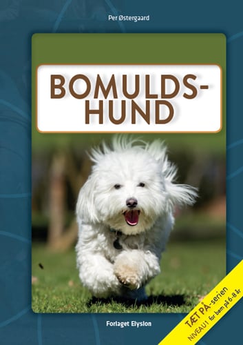 Bomulds-hund - picture