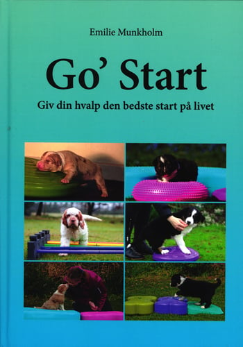 Go' Start_0