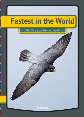 Fastest in the world_0