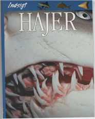 Hajer - picture