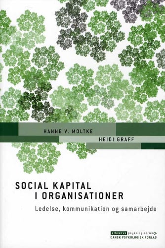 Social kapital i organisationer - picture