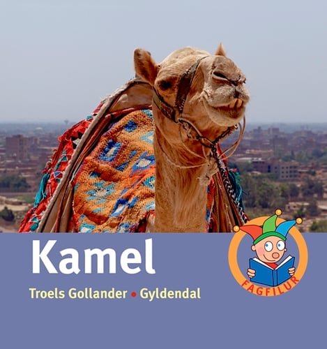 Kamel_0