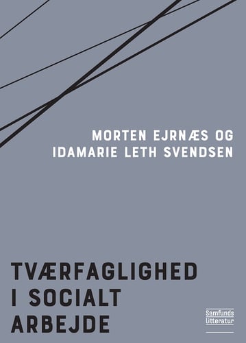 Tværfaglighed i socialt arbejde - picture