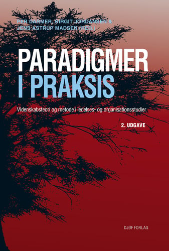 Paradigmer i praksis_0