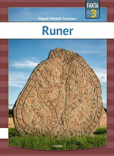 Runer - picture
