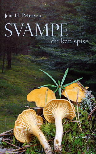 Svampe - du kan spise - picture