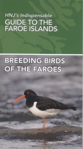Breeding Birds of the Faroes - picture