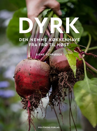 Dyrk - picture