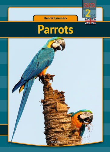 Parrots_0