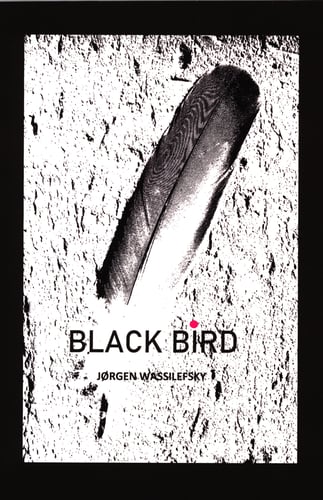 Black Bird - picture