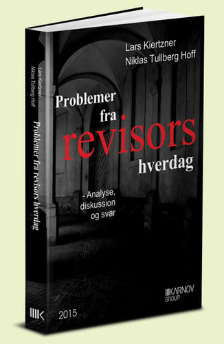 Problemer fra revisors hverdag - picture