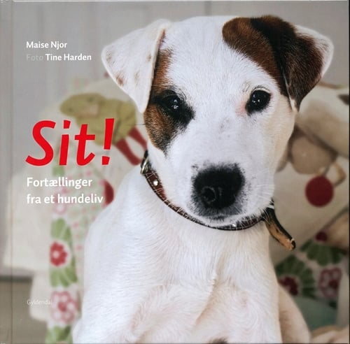 Sit! - picture