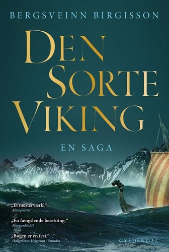 Den sorte viking - picture