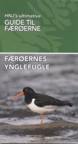 Færøernes Ynglefugle - picture