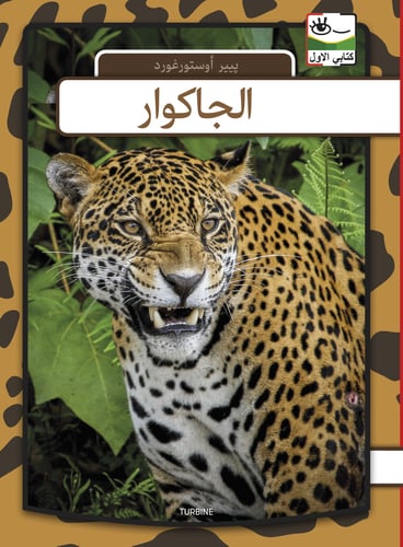 Jaguar - arabisk_0