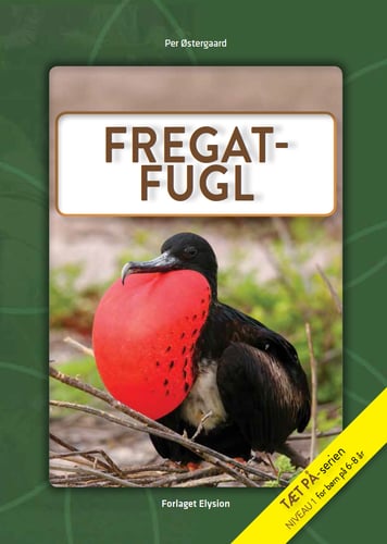 Fregatfugl - picture