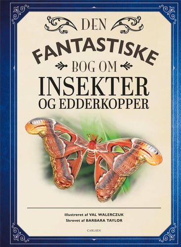 Den fantastiske bog om insekter og edderkopper - picture
