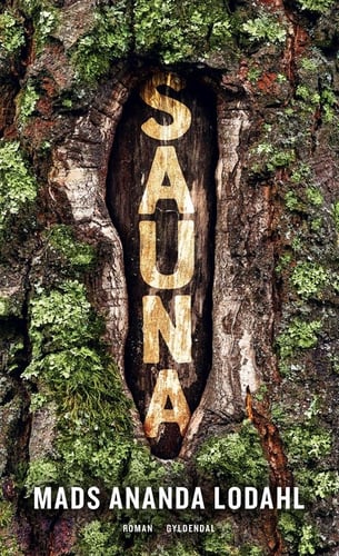 Sauna - picture
