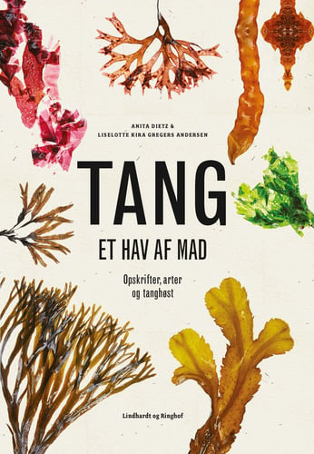Tang - picture