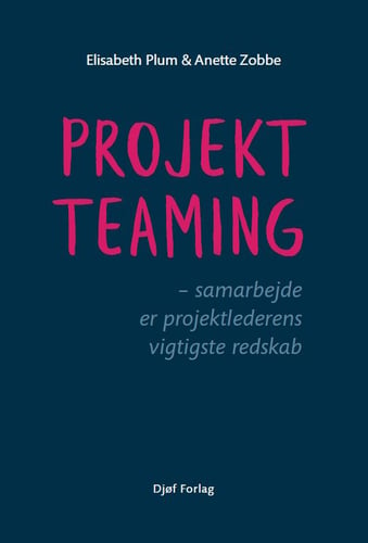 Projektteaming - picture