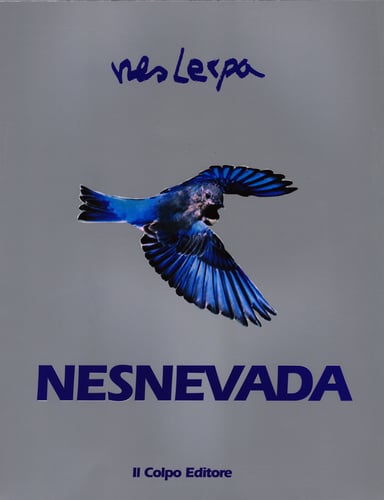 Nesnevada - picture