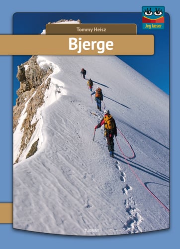 Bjerge - picture