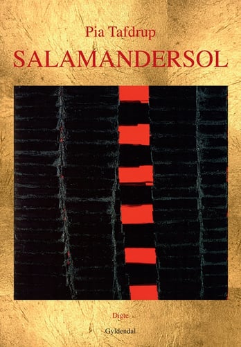 Salamandersol - picture