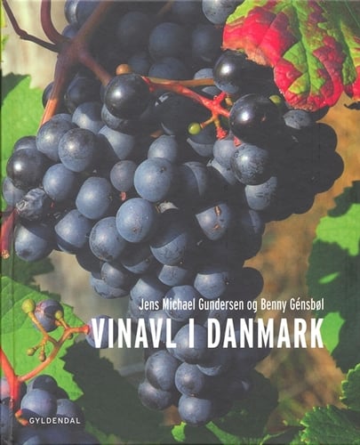 Vinavl i Danmark - picture