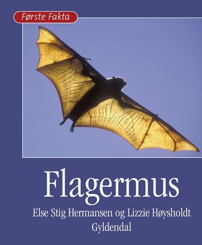 Flagermus - picture