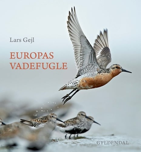 Europas vadefugle - picture