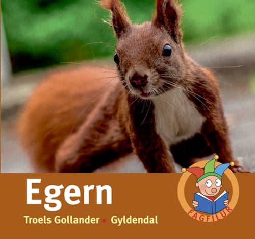 Egern - picture