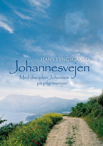 Johannesvejen - picture