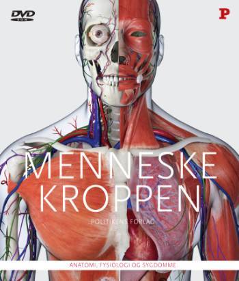 Menneskekroppen - picture