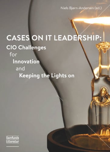 Cases on IT leadership - picture