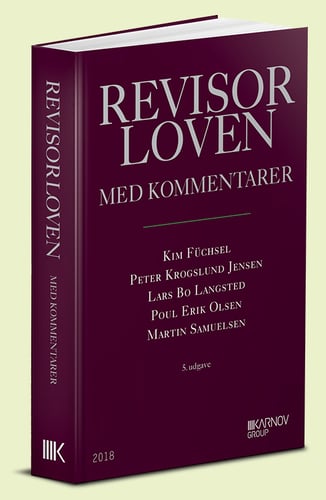 Revisorloven - picture