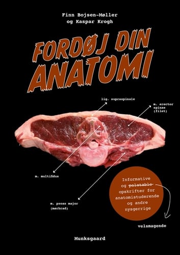 Fordøj din anatomi_0