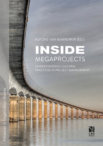 Inside Megaprojects - picture
