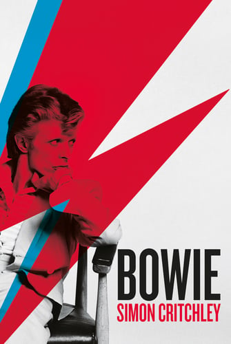 Bowie - picture
