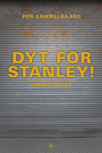 Dyt for Stanley! - picture